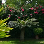 B&B Mondello Resort