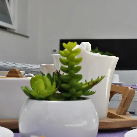 Bed and breakfast B&B Mondello Resort