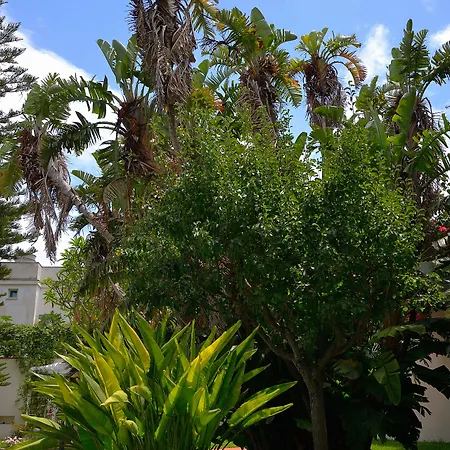B&B Mondello Resort מונדלו