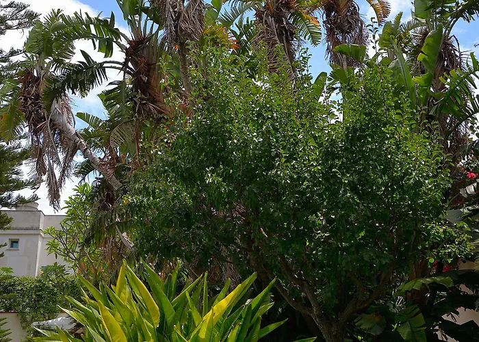 B&B Mondello Resort Mondello