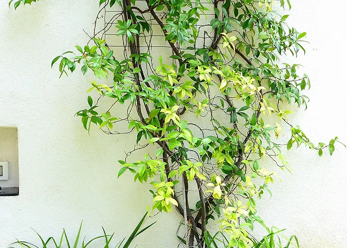 Bed & Breakfast B&B Mondello Resort Mondello