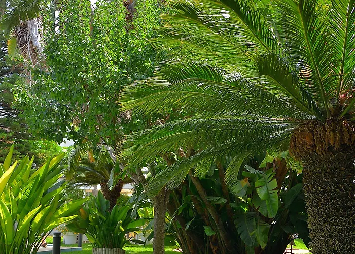 Bed & Breakfast B&B Mondello Resort 4*